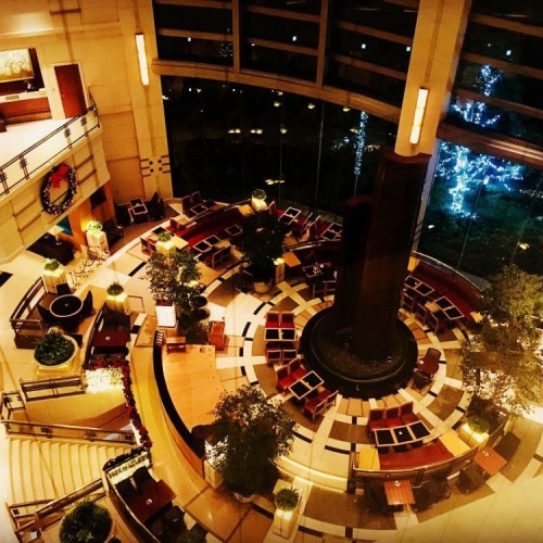 日豪協会クリスマスパーティ🎄Live